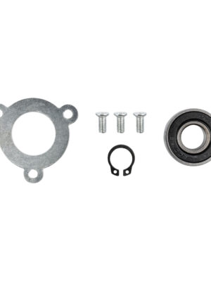 ARMATURE FRONT BEARING & SREWS (10/21-23) FOR POL06-2G