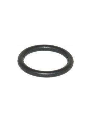 SG20H2000-4.jpg O-RING FOR H2000 SPRAY GUN