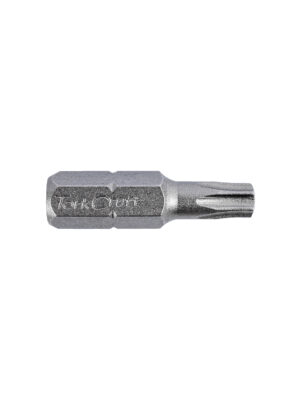 TORX TAMPER RESISTANT INSERT BIT T25H X 25MM BULK