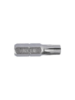 TORX TAMPER RESISTANT INSERT BIT T30H X 25MM BULK
