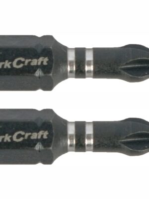 IMPACT PHIL.1 X 25MM INS.BIT 2/CARD PH1