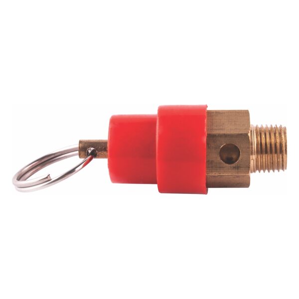 SG20COMP06-48.jpg Safety Valve
